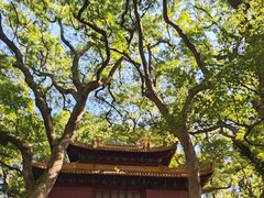 -普陀山风景名胜区-法雨禅寺