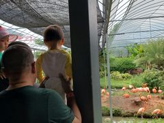 -无锡动物园·太湖欢乐园