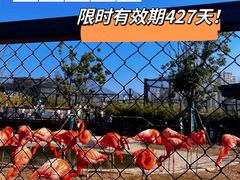 -武汉动物园