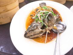 青斑-桃源尚品海鲜酒楼(京港澳高速店)