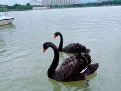 -琅岐红光湖公园