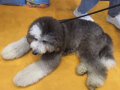 -郑州国际会展中心