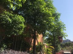 -晋江五店市传统文化旅游区