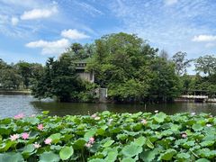 -荔湾湖公园
