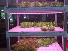 自助取餐区-佰园全日西餐厅-厦门佰翔软件园酒店