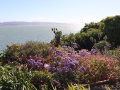 -阿尔卡特拉斯岛