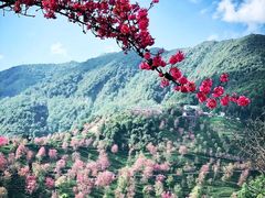 -无量山自然风景保护区