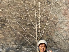 -东华门大街小区