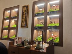 -菌自由丨野生菌火锅特色庭院餐厅(丽江古城店)