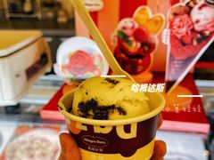 -哈根达斯(国瑞店)