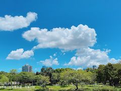 -四海公园(南山区)