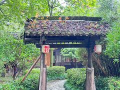 -西溪国家湿地公园