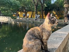 -西园戒幢律寺