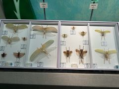 -烟台市博物馆