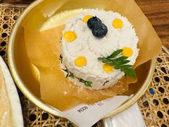 -野草莓自由市场