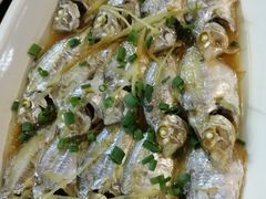 -张家卫·阳江菜·小海鲜(肥婆湾桥店)