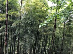 -莫干山风景区