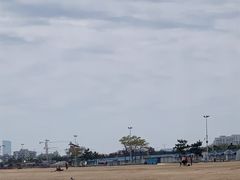 -日照海滨国家森林公园