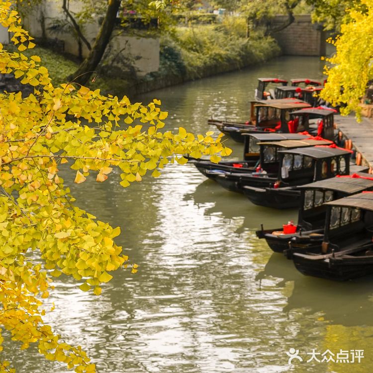 苏州赏秋 🍂本地人推荐(实地打卡分享)