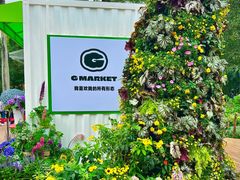 -深圳仙湖植物园