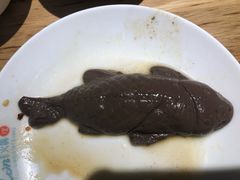 -青瓷火锅料理(西单大悦城店)