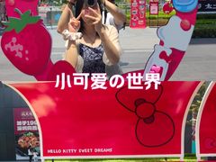 -东莞松山湖万象汇