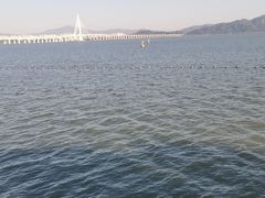 -深圳湾公园(南山区)