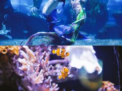 -南昌海洋公园