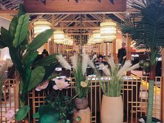 -探窝·竹笙椰子鸡(杨箕店)