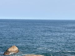 -广东惠东海龟国家级自然保护区