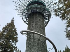 -黄海国家森林公园