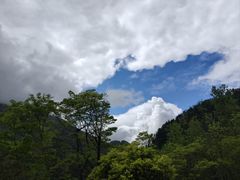 -卧龙自然保护区
