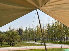 -汉长安城未央宫国家考古遗址公园