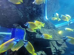 -石家庄海洋公园