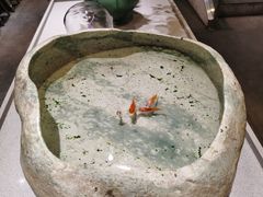 -小豆海棠(嘉兴路店)