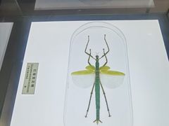 -上海昆虫博物馆