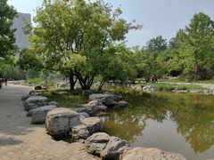-大望京公园