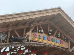 -太湖龙之梦