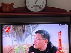 -燕风楼烤鸭店(建设总店)