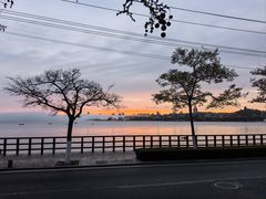 -Vanilla Specialty Coffee(八大关店)