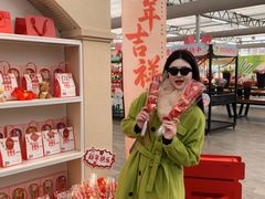 -荷兰花海