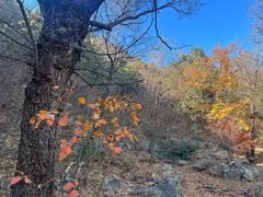 -北京鹫峰国家森林公园