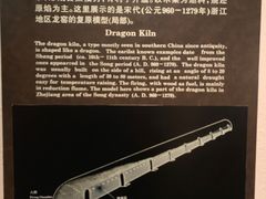 -上海自然博物馆