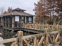 -溱湖国家湿地公园