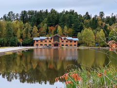 -五营红松林海景区