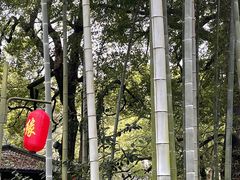 -杭州黄龙洞