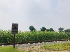 -歌斐颂巧克力小镇