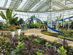 -石家庄市植物园