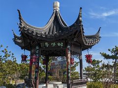 -春花秋色城市公园