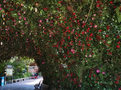 -芜湖方特东方神画